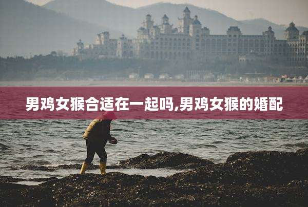 男鸡女猴合适在一起吗,男鸡女猴的婚配