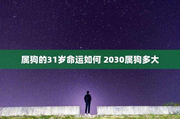 属狗的31岁命运如何 2030属狗多大