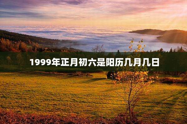 1999年正月初六是阳历几月几日