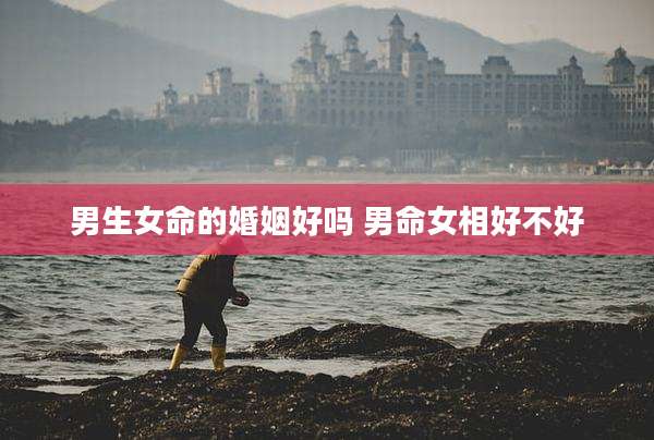 男生女命的婚姻好吗 男命女相好不好