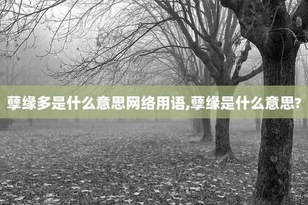 孽缘多是什么意思网络用语,孽缘是什么意思?