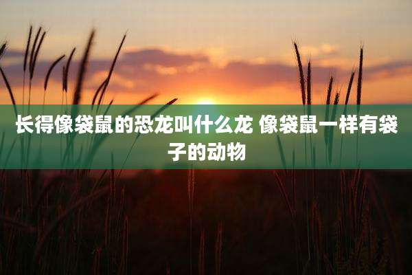 长得像袋鼠的恐龙叫什么龙 像袋鼠一样有袋子的动物