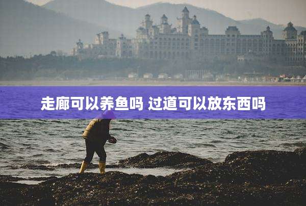走廊可以养鱼吗 过道可以放东西吗