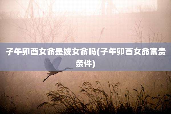 子午卯酉女命是妓女命吗(子午卯酉女命富贵条件)