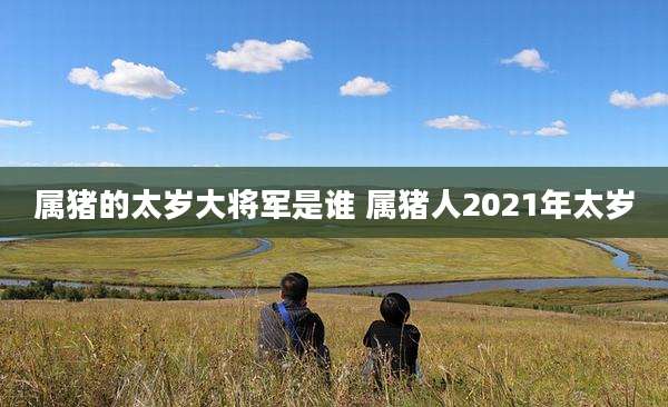 属猪的太岁大将军是谁 属猪人2021年太岁