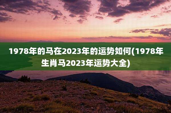 1978年的马在2023年的运势如何(1978年生肖马2023年运势大全)