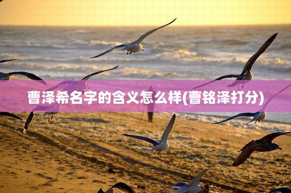 曹泽希名字的含义怎么样(曹铭泽打分)