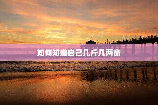 如何知道自己几斤几两命