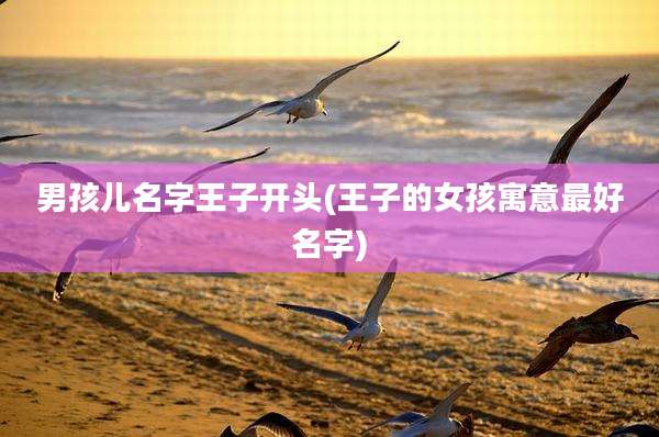男孩儿名字王子开头(王子的女孩寓意最好名字)