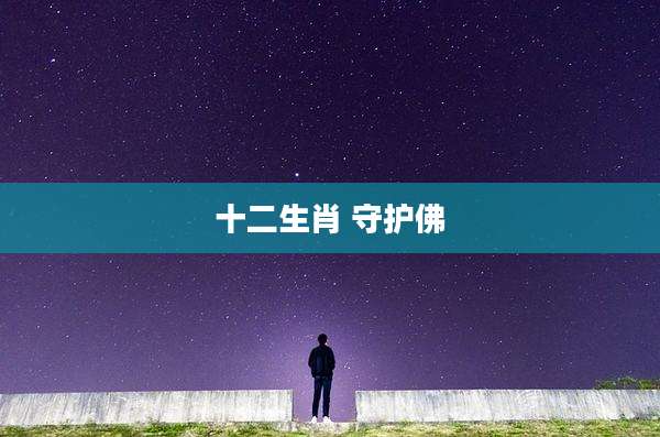 十二生肖 守护佛