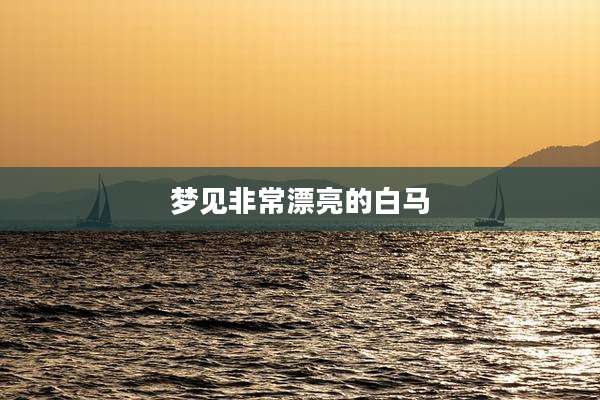 梦见非常漂亮的白马