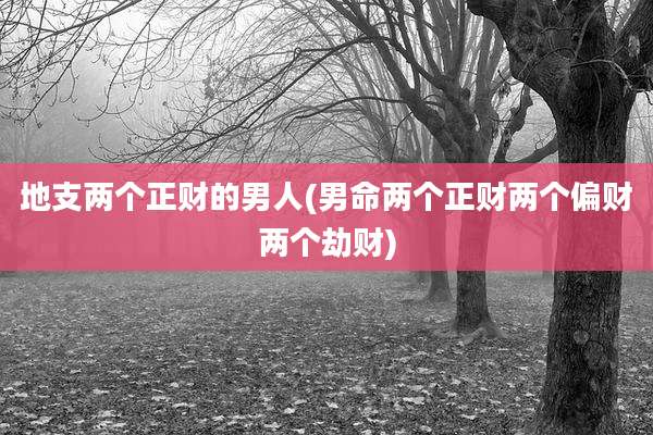 地支两个正财的男人(男命两个正财两个偏财两个劫财)