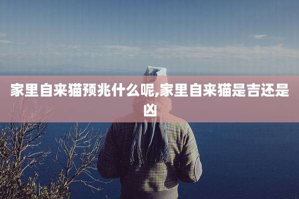 家里自来猫预兆什么呢,家里自来猫是吉还是凶