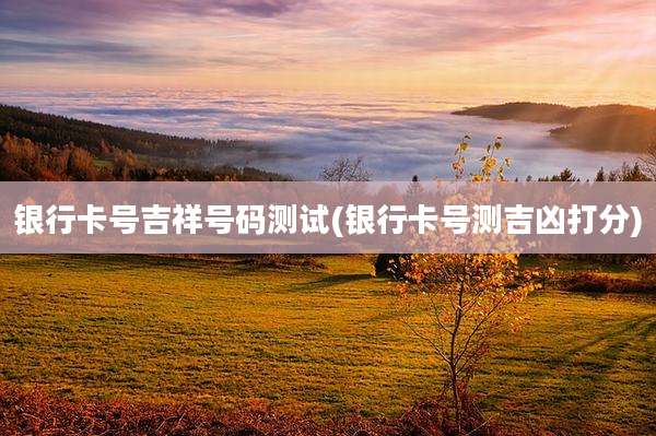 银行卡号吉祥号码测试(银行卡号测吉凶打分)