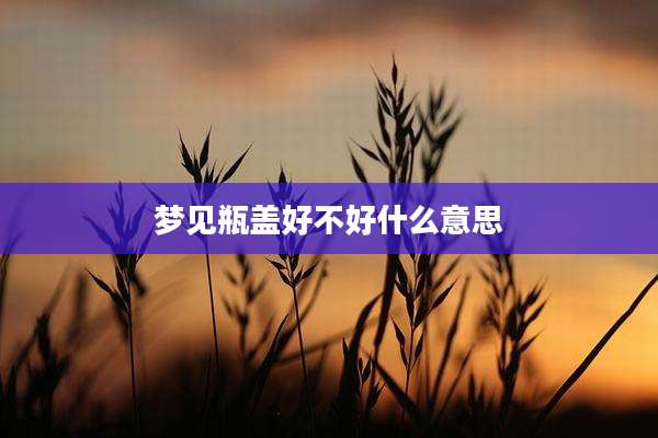 梦见瓶盖好不好什么意思