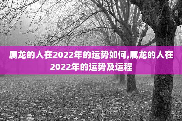 属龙的人在2022年的运势如何,属龙的人在2022年的运势及运程