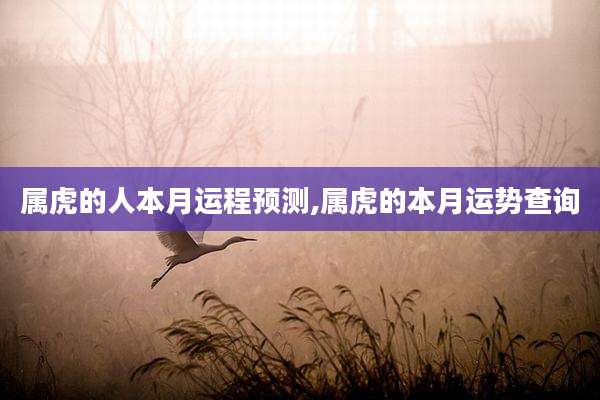 属虎的人本月运程预测,属虎的本月运势查询