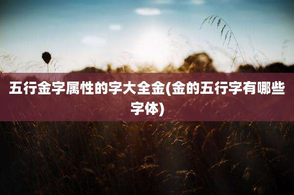 五行金字属性的字大全金(金的五行字有哪些字体)