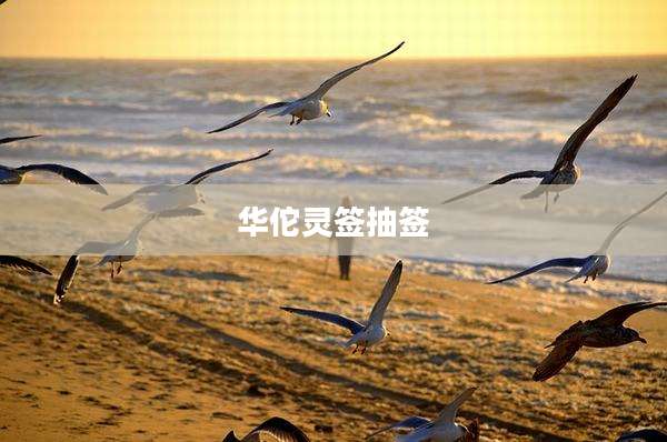 华佗灵签抽签