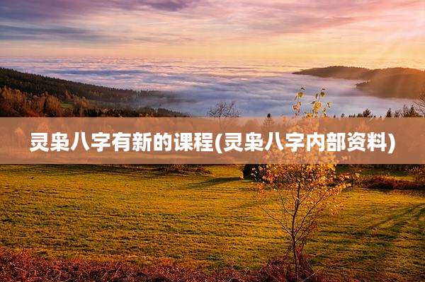 灵枭八字有新的课程(灵枭八字内部资料)