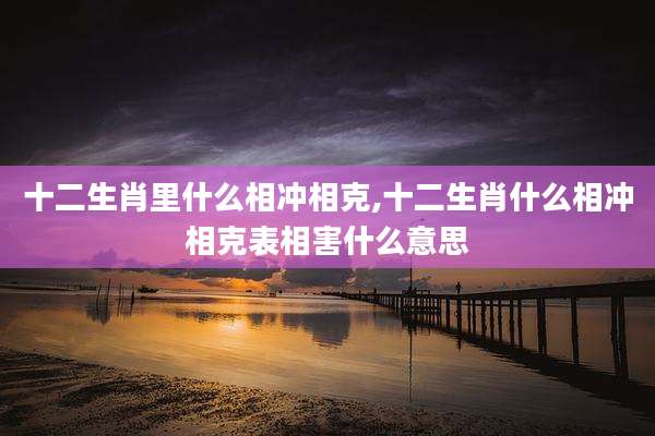 十二生肖里什么相冲相克,十二生肖什么相冲相克表相害什么意思