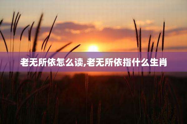 老无所依怎么读,老无所依指什么生肖