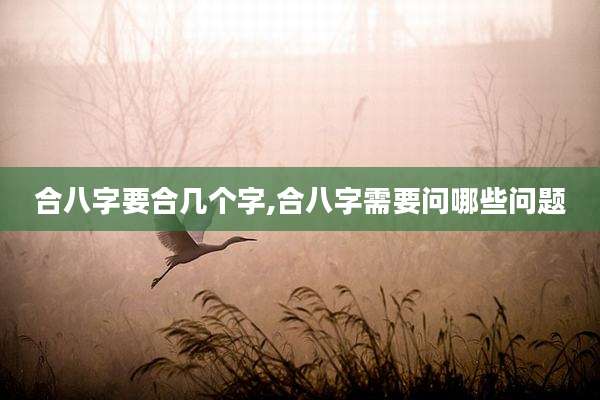 合八字要合几个字,合八字需要问哪些问题