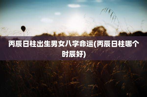 丙辰日柱出生男女八字命运(丙辰日柱哪个时辰好)
