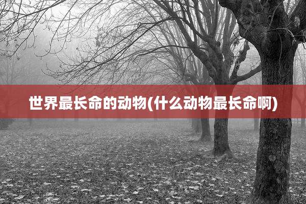世界最长命的动物(什么动物最长命啊)