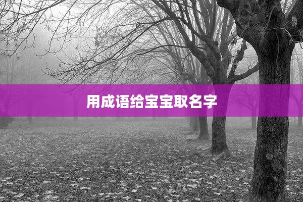 用成语给宝宝取名字