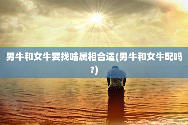 男牛和女牛要找啥属相合适(男牛和女牛配吗?)