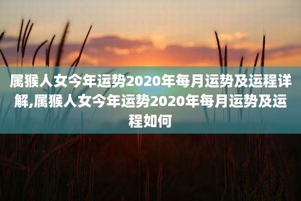 属猴人女今年运势2020年每月运势及运程详解,属猴人女今年运势2020年每月运势及运程如何