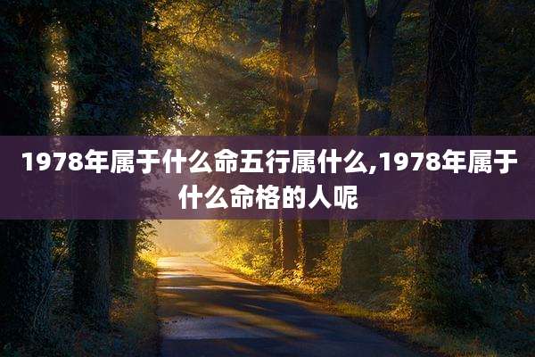 1978年属于什么命五行属什么,1978年属于什么命格的人呢