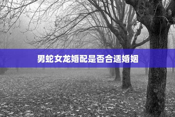 男蛇女龙婚配是否合适婚姻
