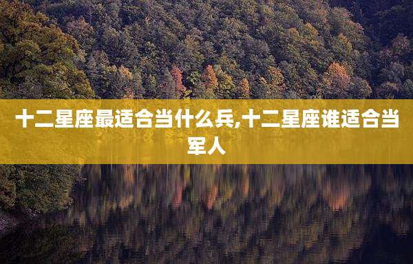 十二星座最适合当什么兵,十二星座谁适合当军人