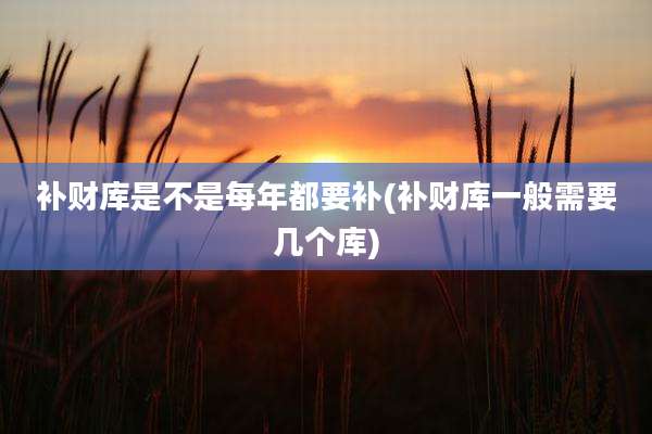 补财库是不是每年都要补(补财库一般需要几个库)