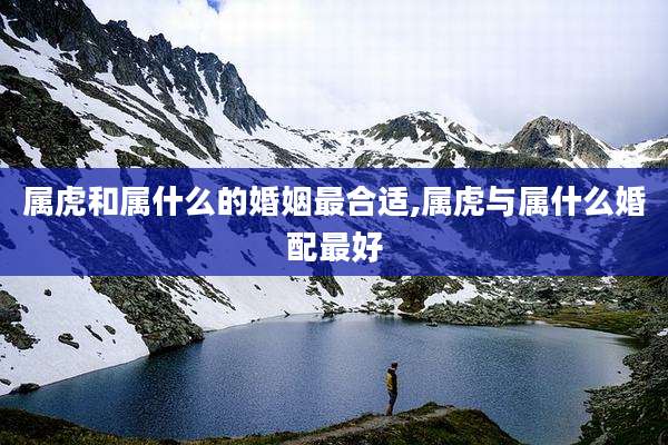 属虎和属什么的婚姻最合适,属虎与属什么婚配最好