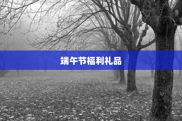 端午节福利礼品