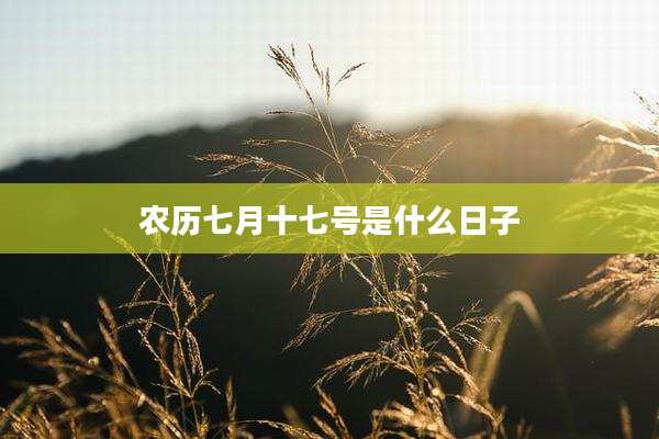 农历七月十七号是什么日子