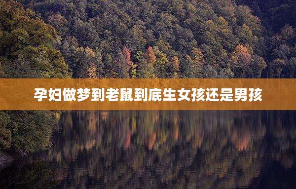 孕妇做梦到老鼠到底生女孩还是男孩