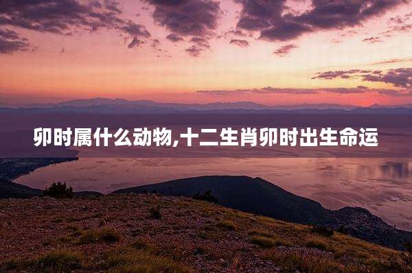 卯时属什么动物,十二生肖卯时出生命运