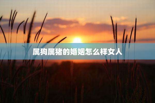 属狗属猪的婚姻怎么样女人