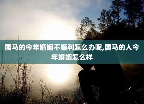 属马的今年婚姻不顺利怎么办呢,属马的人今年婚姻怎么样
