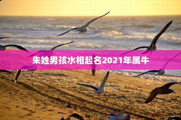朱姓男孩水相起名2021年属牛