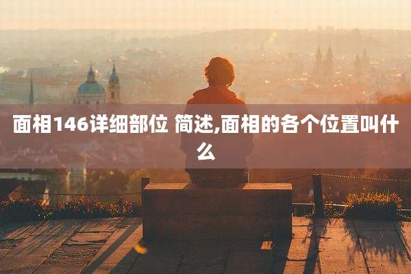 面相146详细部位 简述,面相的各个位置叫什么