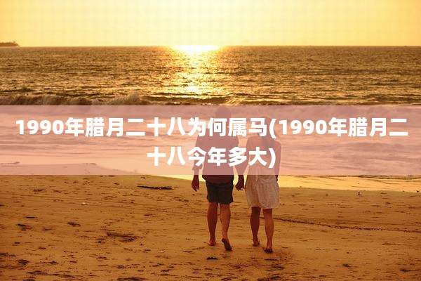 1990年腊月二十八为何属马(1990年腊月二十八今年多大)