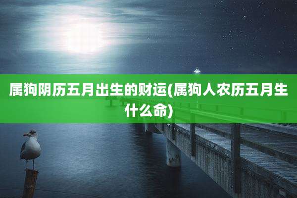 属狗阴历五月出生的财运(属狗人农历五月生什么命)