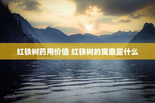 红铁树药用价值 红铁树的寓意是什么