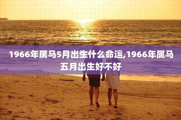 1966年属马5月出生什么命运,1966年属马五月出生好不好