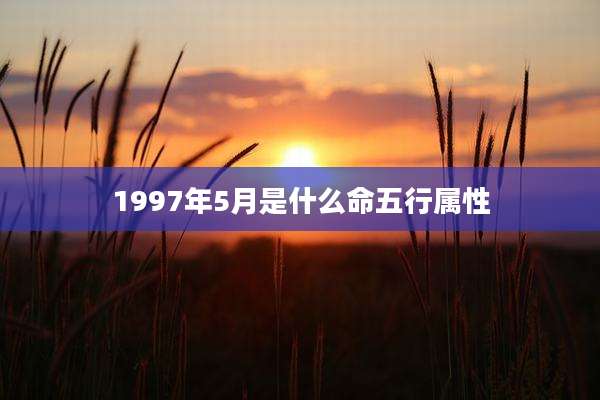 1997年5月是什么命五行属性